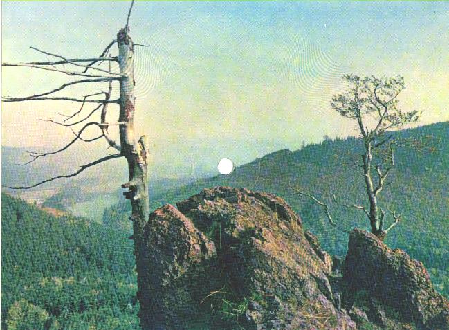 COLORVOX, 1/101-612, 45Upm