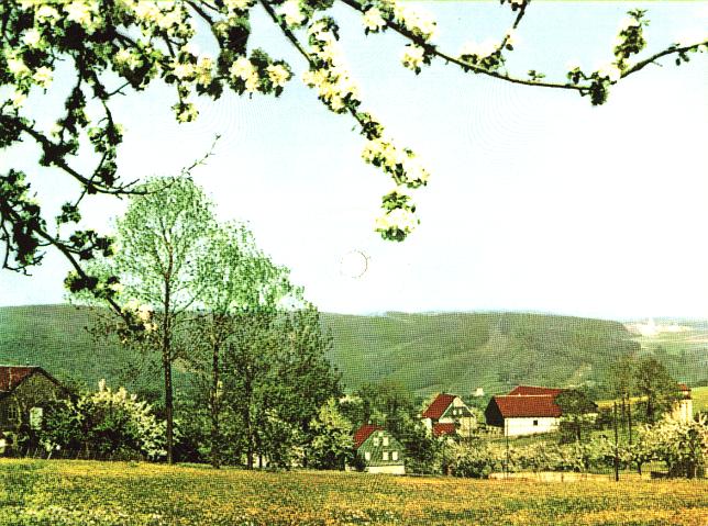 COLORVOX, 1/103-614, 45Upm