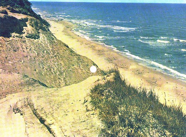 COLORVOX, 7/162-631, 45Upm