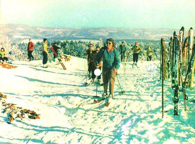 COLORVOX, 3/124-614, 45Upm