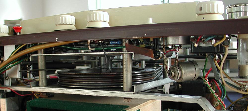 Rex, 00081, 3 Riemen,