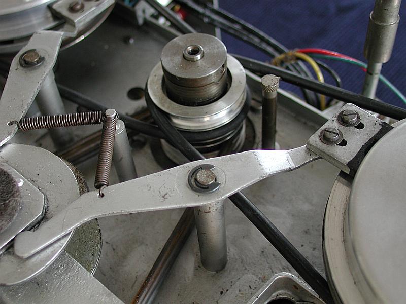 Rex, 00071, 3-Riemen